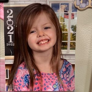 Lilly Pulitzer Pink and Blue Floral Dress